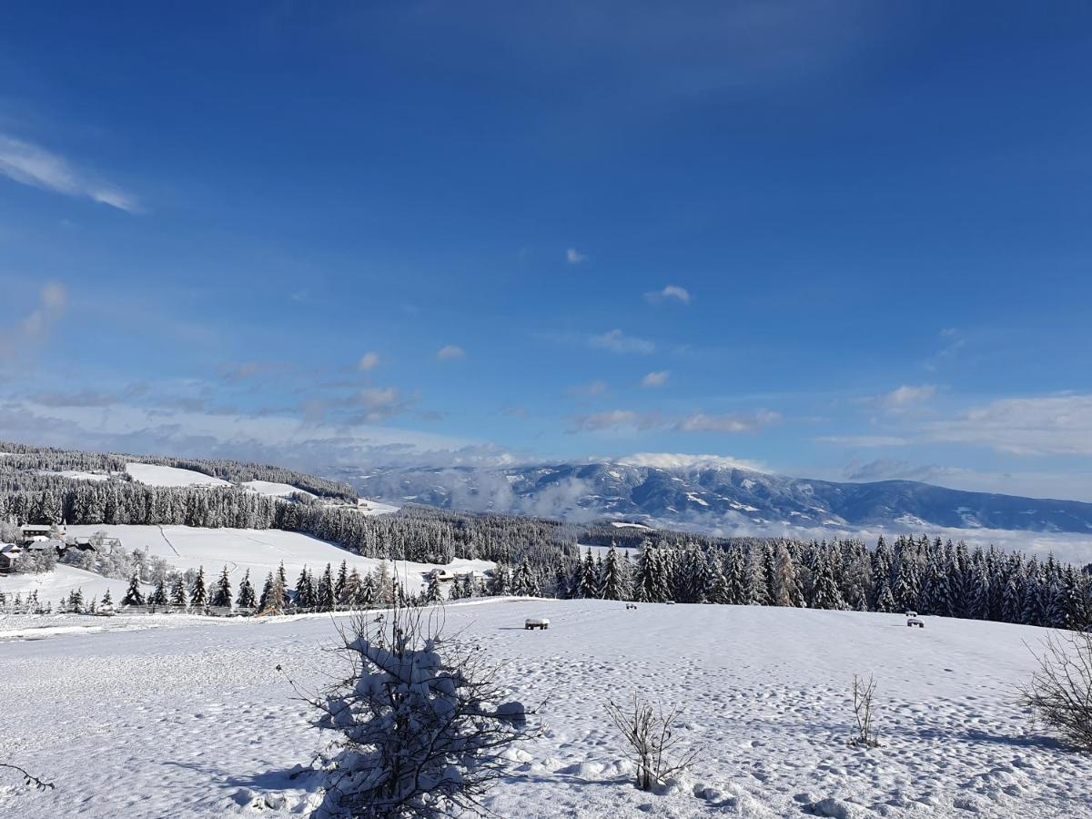 Urige Waldbienenhuette Lägenhet Diex Exteriör bild